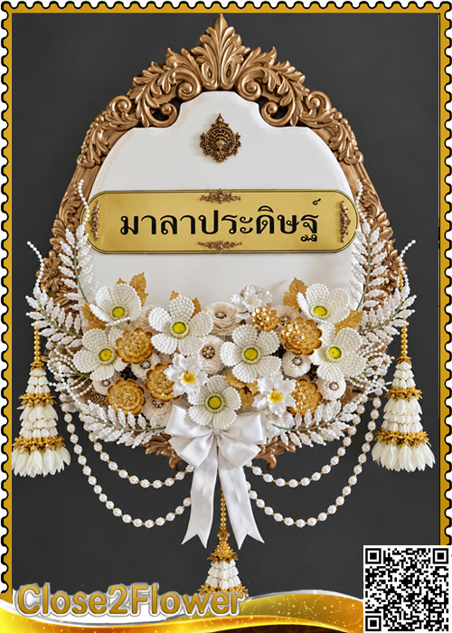 MP703 �ǧ����Ẻ�»���ء��