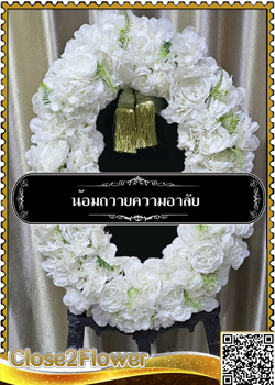 MP601 �ǧ����Ẻ�����Ԥ