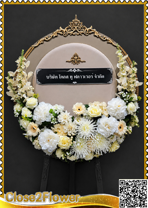 MP102 �ǧ����Ẻ�������� ǧ��� �բ�� �˭�