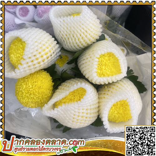 BE202	ອ���ȹ͡	�ԧ�ͧ ����ͧ