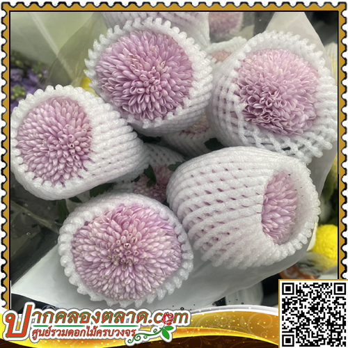 BE204 ອ���ȹ͡ �ԧ�ͧ ����