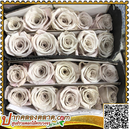 RO318 ����Һ�չ ������ (�բ�Ǥ�ѹ������ - ���