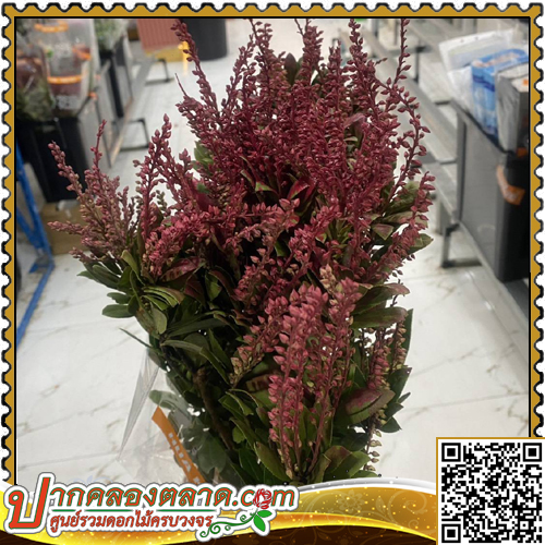 LE155 ������ ᴧ