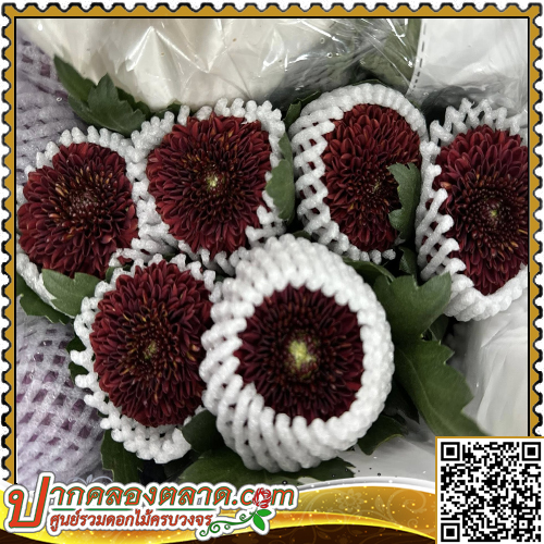 BE205 ອ���ȹ͡ �ԧ�ͧ ᴧ