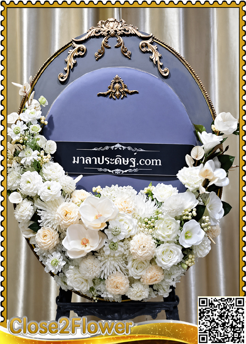 MP101 �ǧ����Ẻ��������