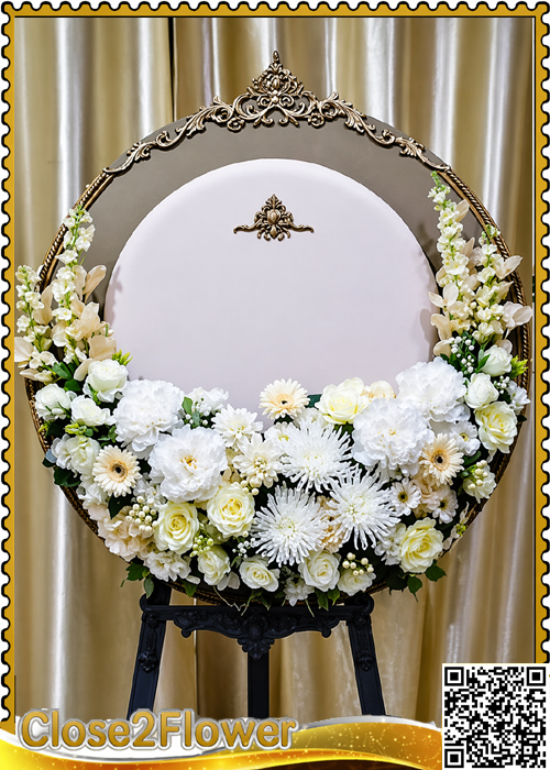 MP102 �ǧ����Ẻ��������