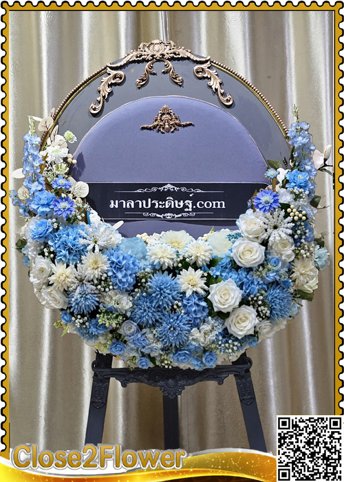 MP201 �ǧ����Ẻ��������