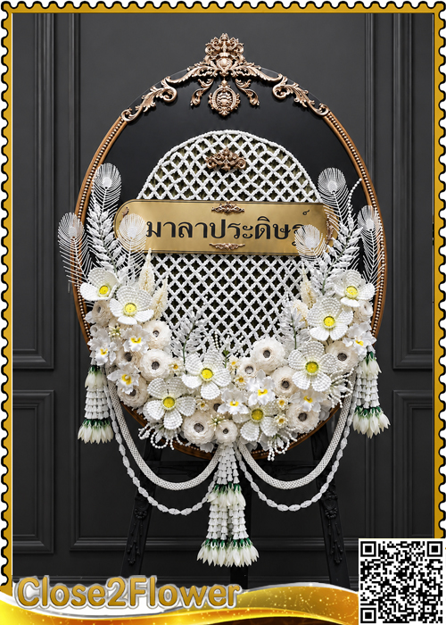 MP702 �ǧ����Ẻ�»���ء��